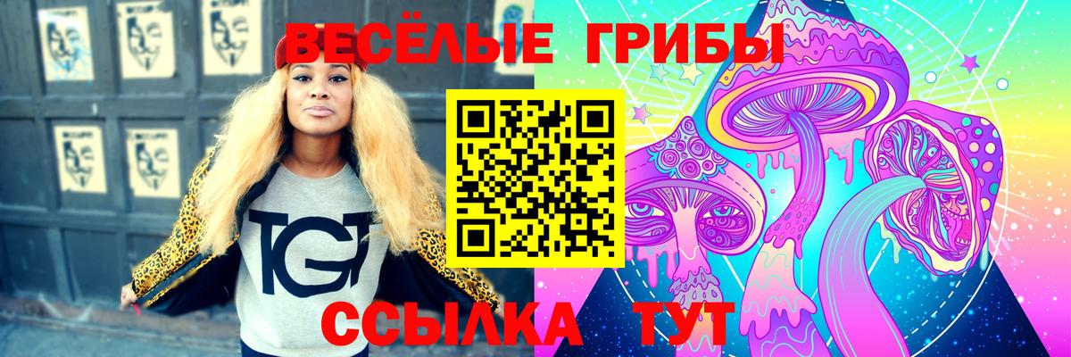 Псилоцибиновые грибы Cubensis Ставрополь